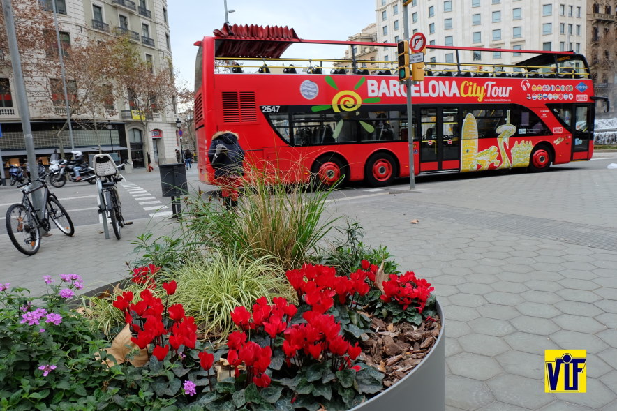 ▷ Colorvif laboratorio fotográfico profesional Barcelona, foto digital y analógica barato, fotos DNI, revelado químico online, ampliaciones urgentes, escaneados, papel fotográfico, blanco y negro y color.