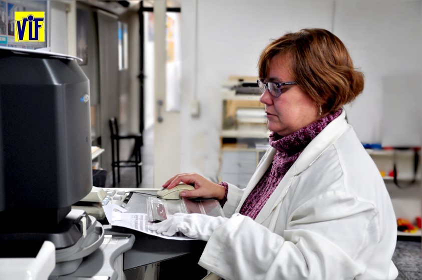 Revelado económico analógico y digital, Color VIF en Barcelona, para profesionales y aficionados