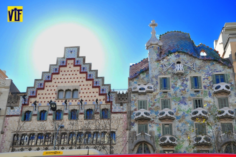 Revelado de fotos económico analógico y digital online, Color VIF en Barcelona, para profesionales y aficionados