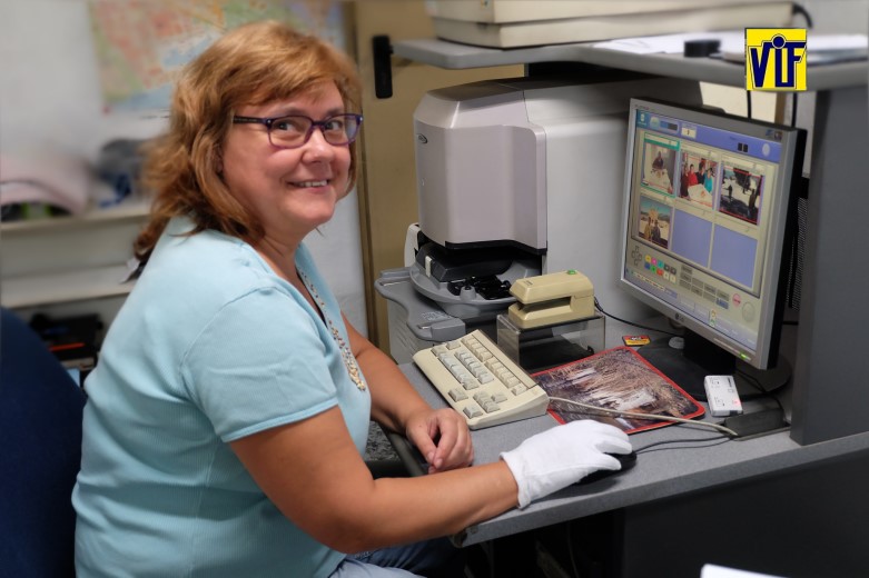 Color VIF laboratorio fotográfico profesional Barcelona, foto digital y analógica barato, fotos DNI, revelado químico, online, ampliaciones urgentes